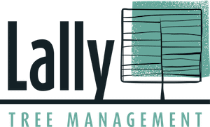 Lally Tree Management Logo