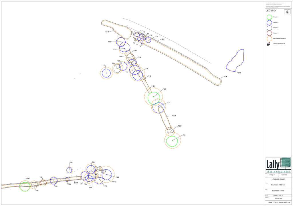 Tree Constraints Plan