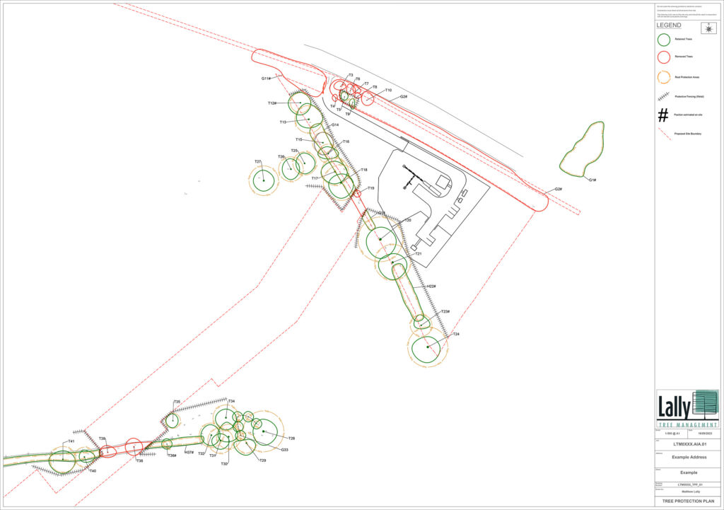 Tree Protection Plan